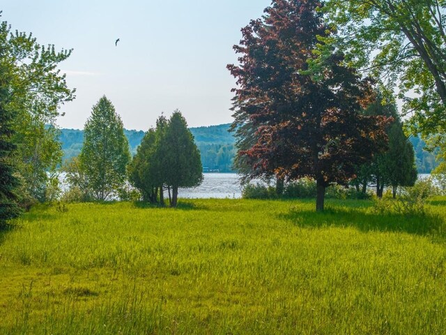 1851 S Lake Shore Dr, Lake Leelanau, MI 49653 - photo 21