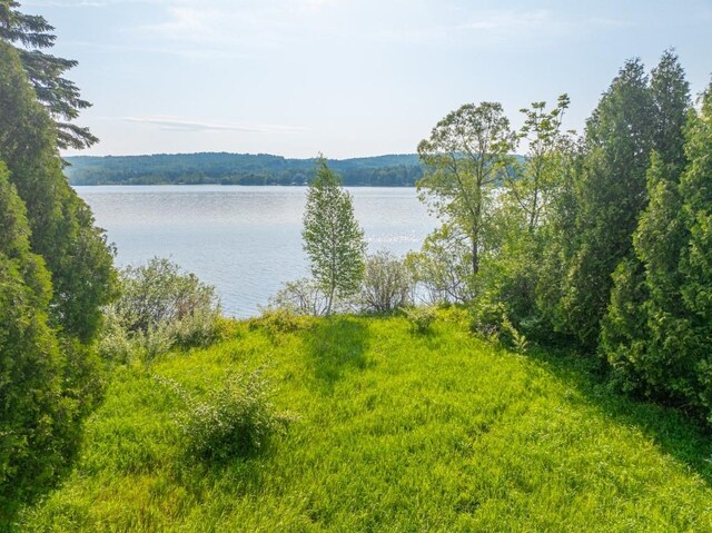 1851 S Lake Shore Dr, Lake Leelanau, MI 49653 - photo 24