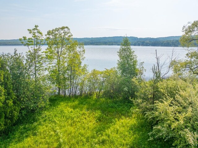 1851 S Lake Shore Dr, Lake Leelanau, MI 49653 - photo 25