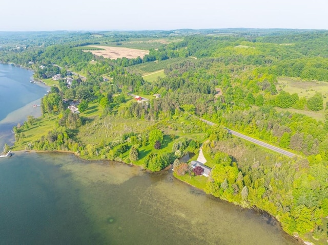 1851 S Lake Shore Dr, Lake Leelanau, MI 49653 - photo 5