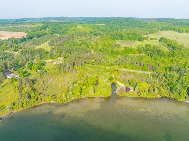 1851 S Lake Shore Dr, Lake Leelanau, MI 49653 - photo 6