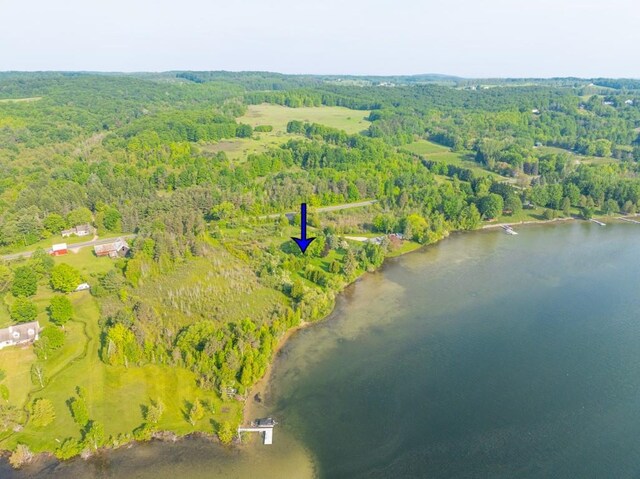 1851 S Lake Shore Dr, Lake Leelanau, MI 49653 - photo 7