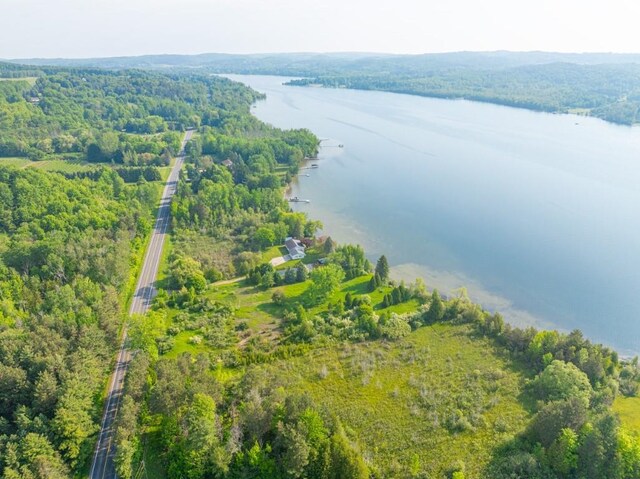 1851 S Lake Shore Dr, Lake Leelanau, MI 49653 - photo 9