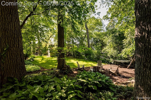55 Oakdale Blvd, Pleasant Ridge, MI 48069 - view of undeveloped land