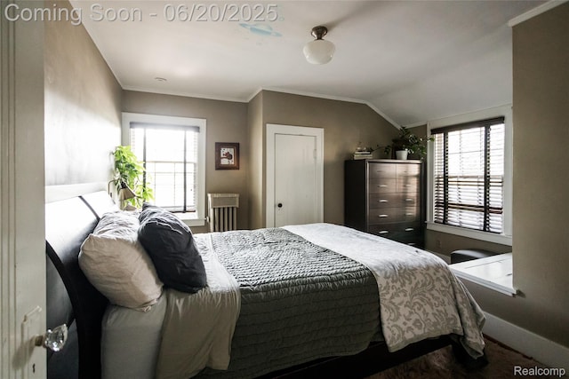 55 Oakdale Blvd, Pleasant Ridge, MI 48069 - bedroom featuring multiple windows, crown molding, and lofted ceiling