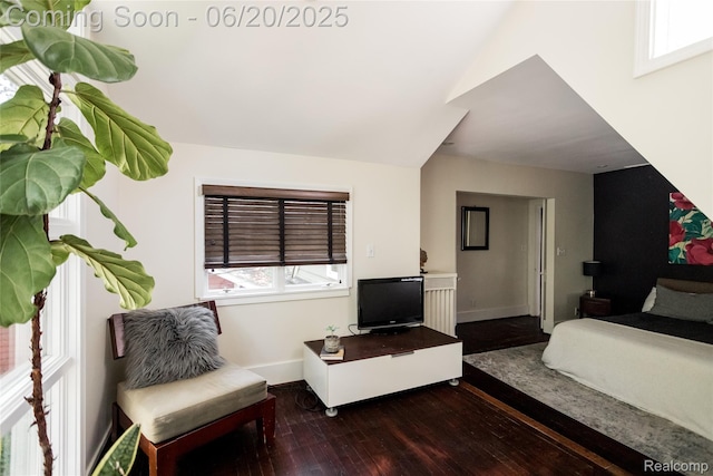 55 Oakdale Blvd, Pleasant Ridge, MI 48069 - bedroom featuring wood finished floors and lofted ceiling