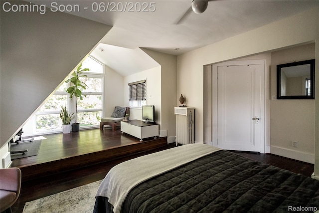 55 Oakdale Blvd, Pleasant Ridge, MI 48069 - bedroom with wood finished floors and vaulted ceiling