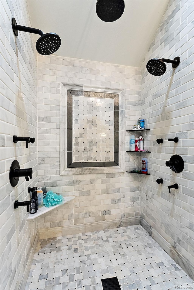 429 Hawk High Hill Rd, Metamora, MI 48455 - full bath with lofted ceiling and a tile shower