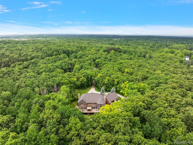 429 Hawk High Hill Rd, Metamora, MI 48455 - view of subject property with a heavily wooded area