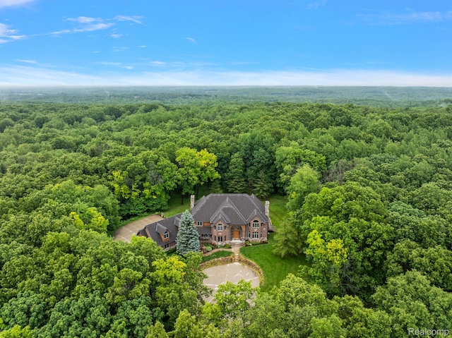 429 Hawk High Hill Rd, Metamora, MI 48455 - view of subject property with a forest