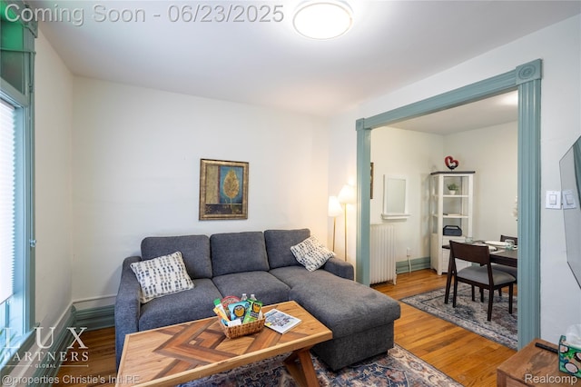 1200 Porter St, Detroit, MI 48226 - living room with radiator heating unit and wood finished floors