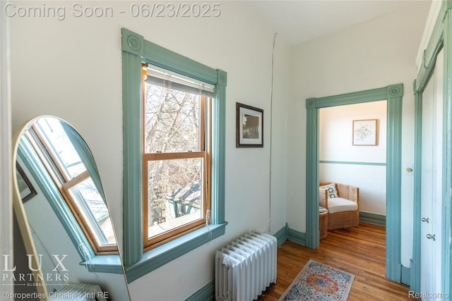 1200 Porter St, Detroit, MI 48226 - hallway featuring radiator, wood finished floors, and a skylight