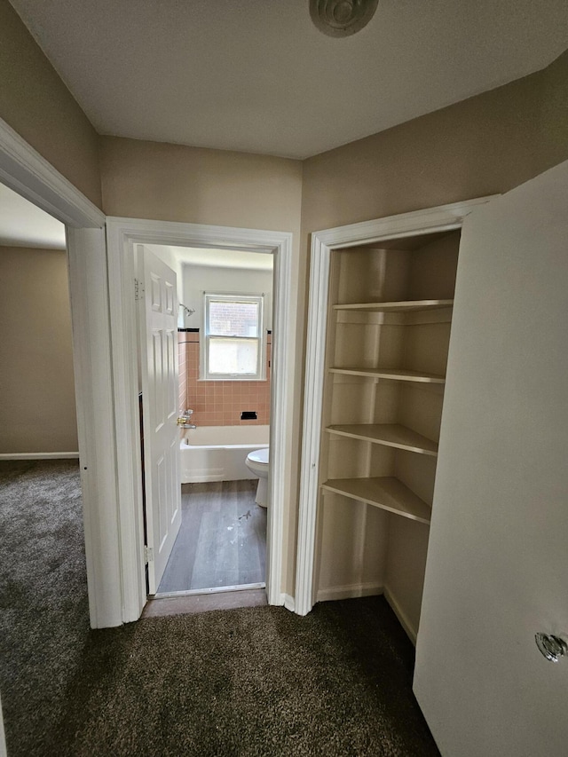 18242 Mendota St, Detroit, MI 48221 - view of closet