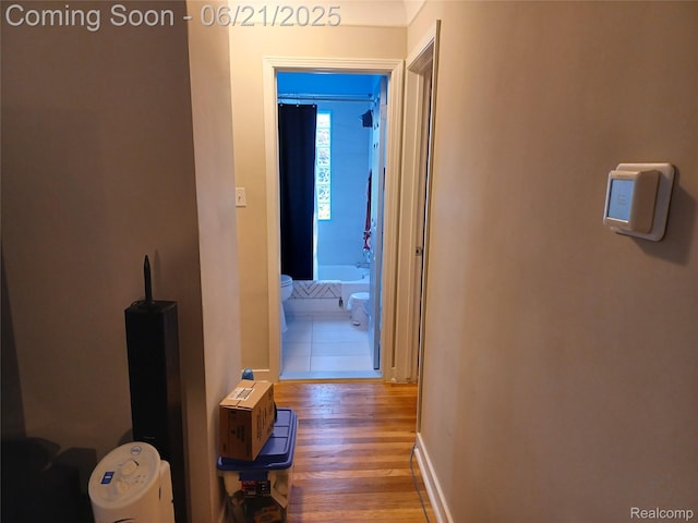 1423 New York Ave, Lincoln Park, MI 48146 - photo 10