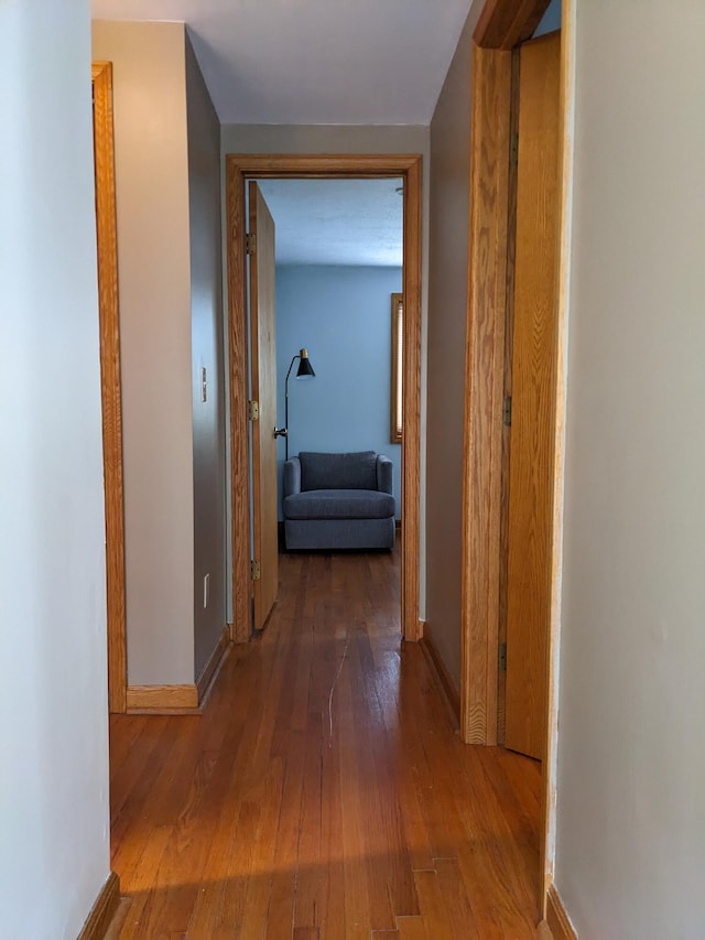 539 Sunset Ln, East Lansing, MI 48823 - hall with hardwood / wood-style floors and baseboards