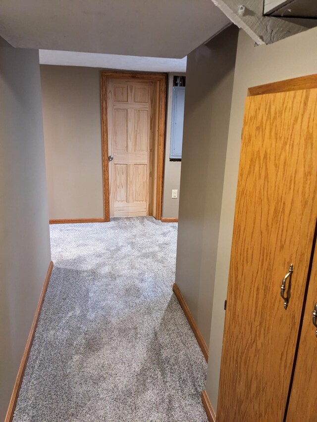 539 Sunset Ln, East Lansing, MI 48823 - hall with carpet floors and baseboards
