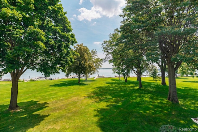 19891 Parke Ln, Grosse Ile, MI 48138 - view of grassy yard