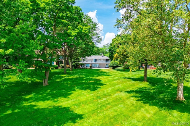 19891 Parke Ln, Grosse Ile, MI 48138 - view of green lawn