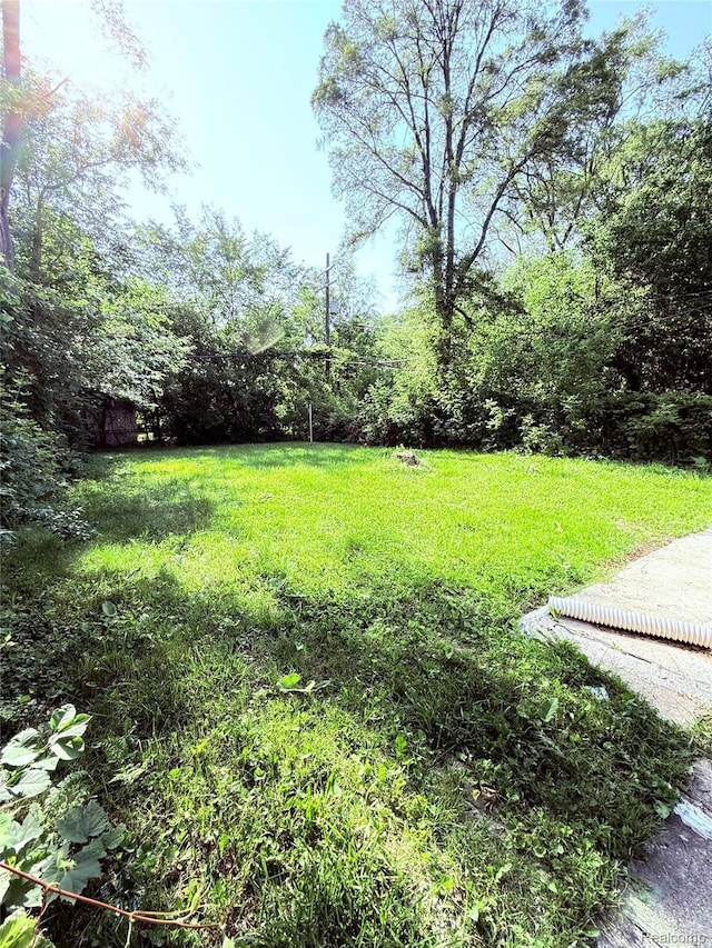 9941 Minock St, Detroit, MI 48228 - view of yard