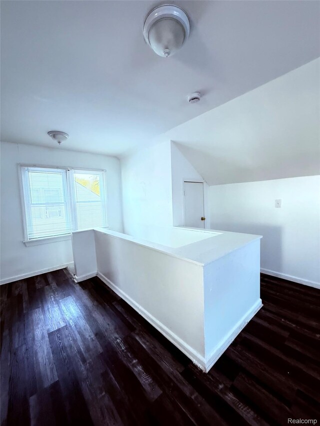 9941 Minock St, Detroit, MI 48228 - additional living space with dark wood-type flooring and lofted ceiling