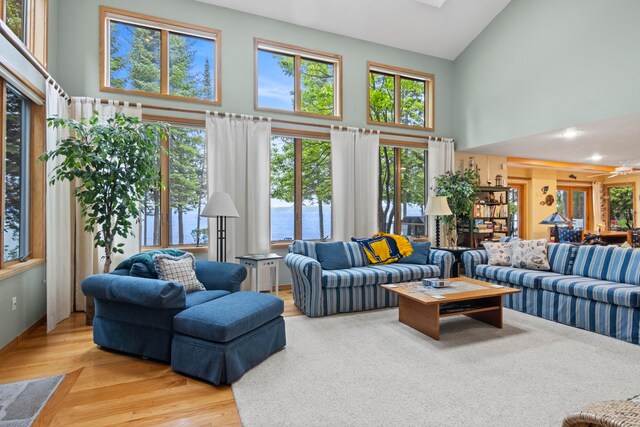 736 Davock Ln, Bellaire, MI 49615