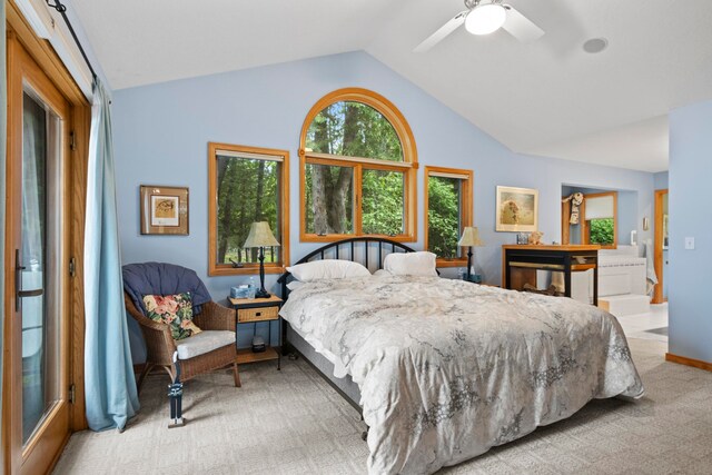 736 Davock Ln, Bellaire, MI 49615