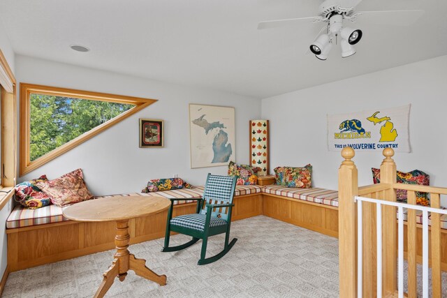 736 Davock Ln, Bellaire, MI 49615