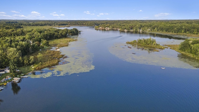 11683 Fair Lk, Delton, MI 49046 - water view featuring a heavily wooded area