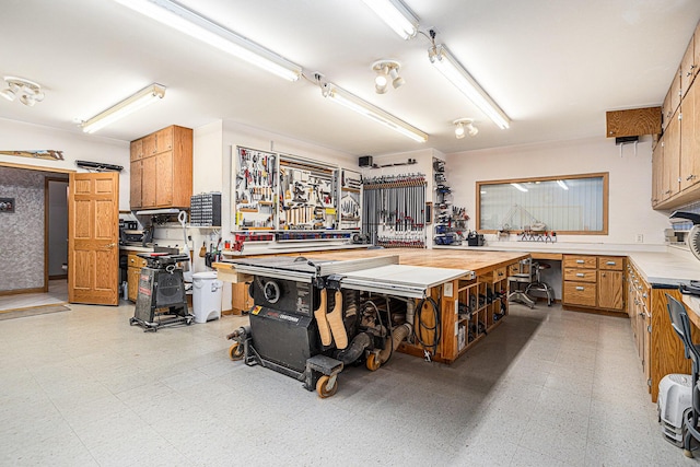 11683 Fair Lk, Delton, MI 49046 - garage featuring a workshop area
