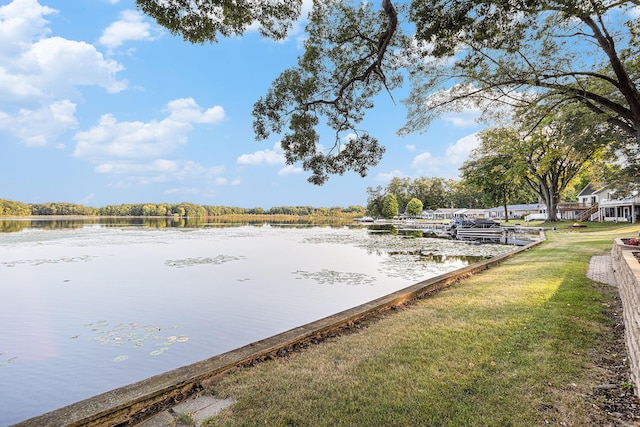11683 Fair Lk, Delton, MI 49046 - view of green lawn with a water view