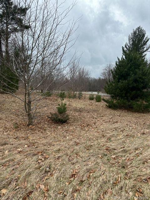 77 E Starlight Ridge Cir, Onekama, MI 49675