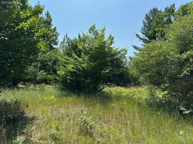 77 E Starlight Ridge Cir, Onekama, MI 49675