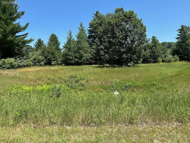 77 E Starlight Ridge Cir, Onekama, MI 49675