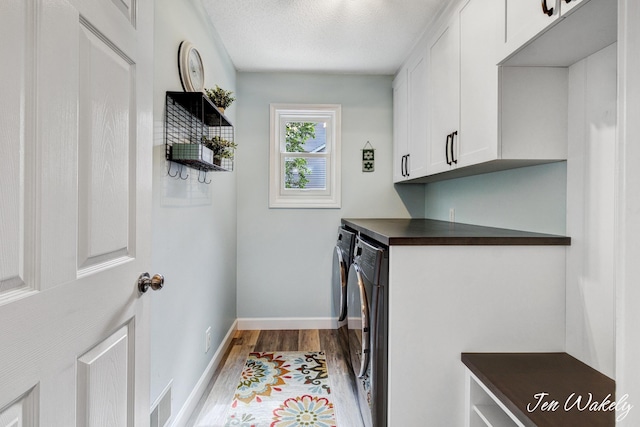 278 Caravan Rd, Norton Shores, MI 49441 - laundry area featuring cabinet space, washer and dryer, and dark wood-style flooring
