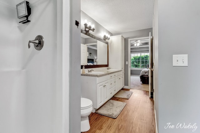 278 Caravan Rd, Norton Shores, MI 49441 - bathroom featuring wood finished floors, double vanity, and a textured ceiling