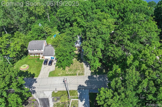 12260 Dollar Lake Dr, Fenton, MI 48430 - drone / aerial view