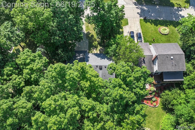 12260 Dollar Lake Dr, Fenton, MI 48430 - drone / aerial view