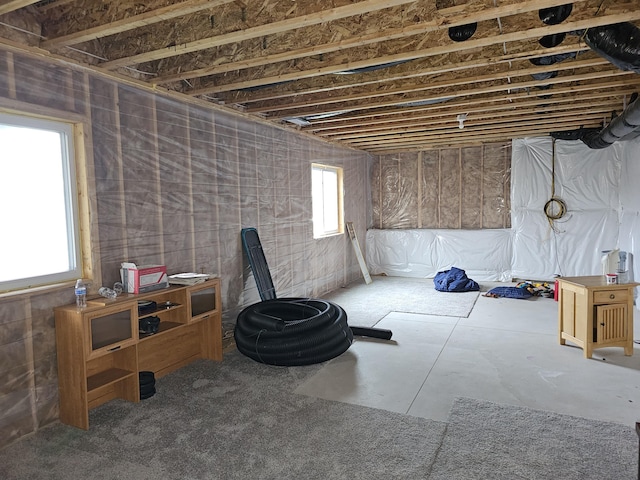8781 Prairie Stone Dr SW, Byron Center, MI 49315 - view of below grade area