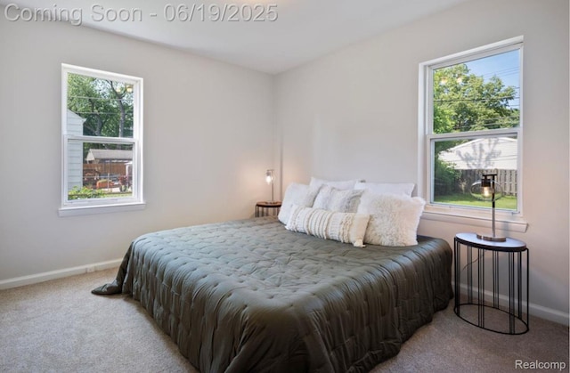 2755 Royal Ave, Berkley, MI 48072 - bedroom featuring carpet and multiple windows