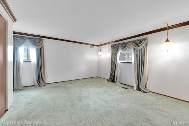23719 Wendy Ln, Southfield, MI 48075 - empty room featuring ornamental molding, carpet, and healthy amount of natural light