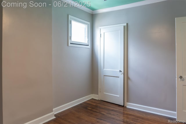 52 Midland St, Highland Park, MI 48203 - photo 14