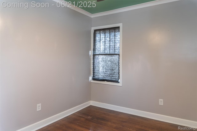 52 Midland St, Highland Park, MI 48203 - photo 13