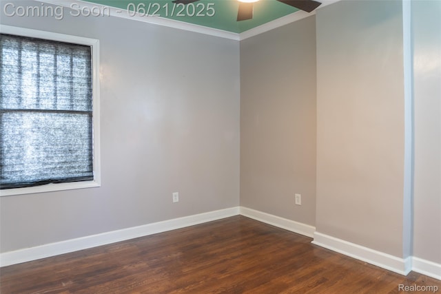 52 Midland St, Highland Park, MI 48203 - photo 12