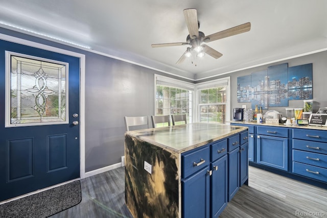 1333 N Franklin St, Dearborn, MI 48128 - kitchen with blue cabinets, wood finished floors, ceiling fan, crown molding, and a kitchen island
