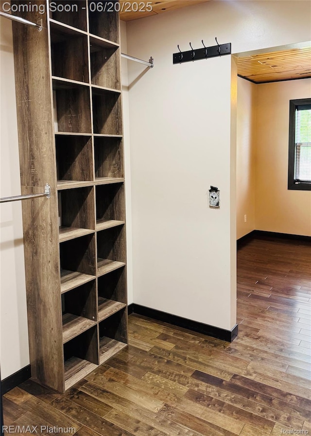 3199 N Loop Ct, Middleville, MI 49333 - view of closet