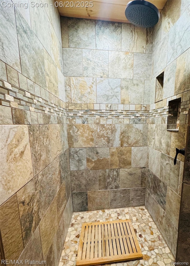 3199 N Loop Ct, Middleville, MI 49333 - full bathroom with a tile shower