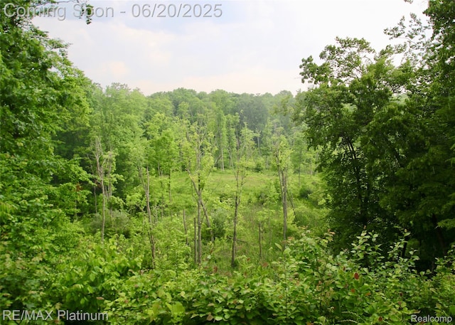 3199 N Loop Ct, Middleville, MI 49333 - view of wooded area