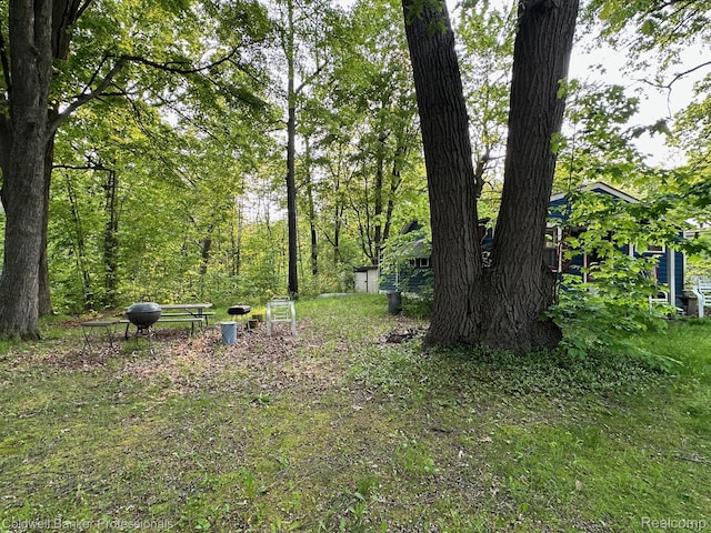 4204 Pantek Park Dr, Attica, MI 48412 - view of yard