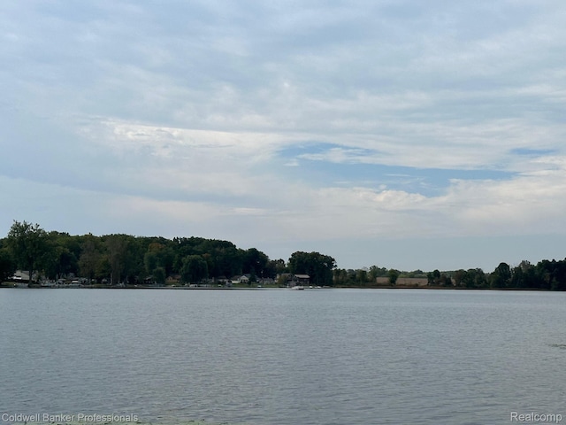 4204 Pantek Park Dr, Attica, MI 48412 - water view