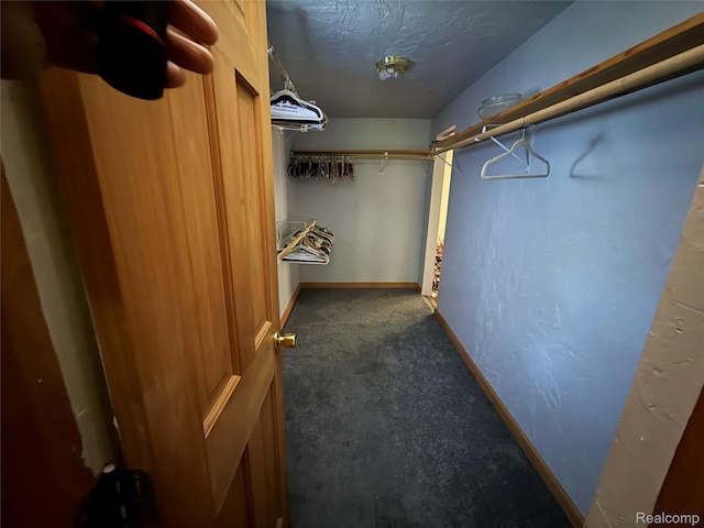 6456 W Court St, Flint, MI 48532 - walk in closet with carpet